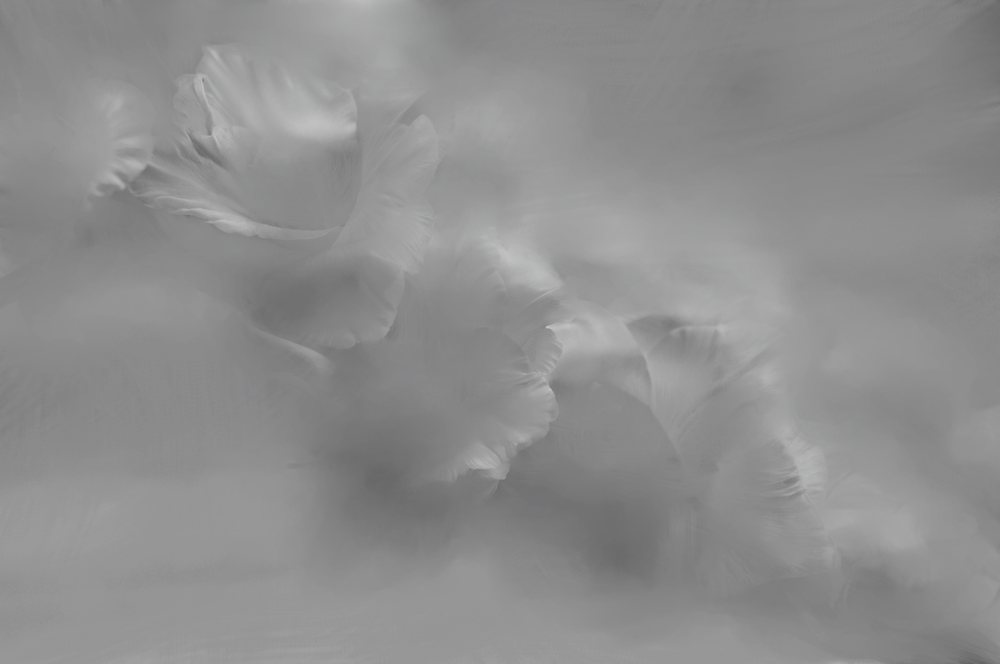 Voyage