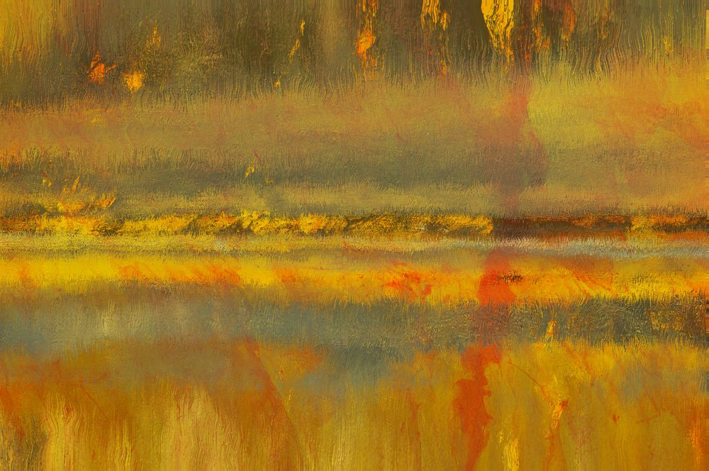 The Field Of My Sun