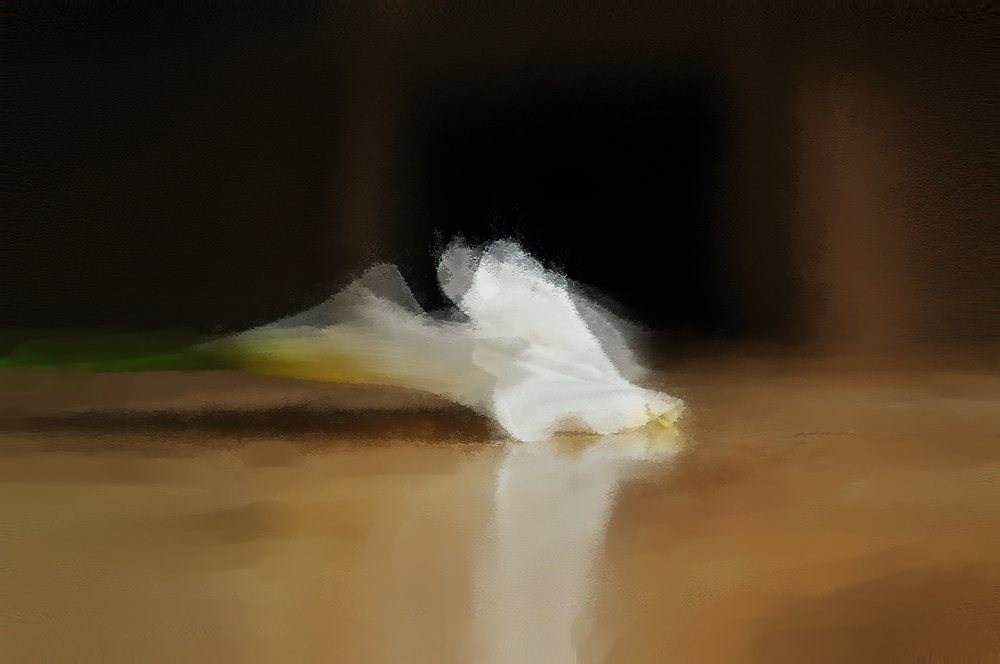Dream Flower