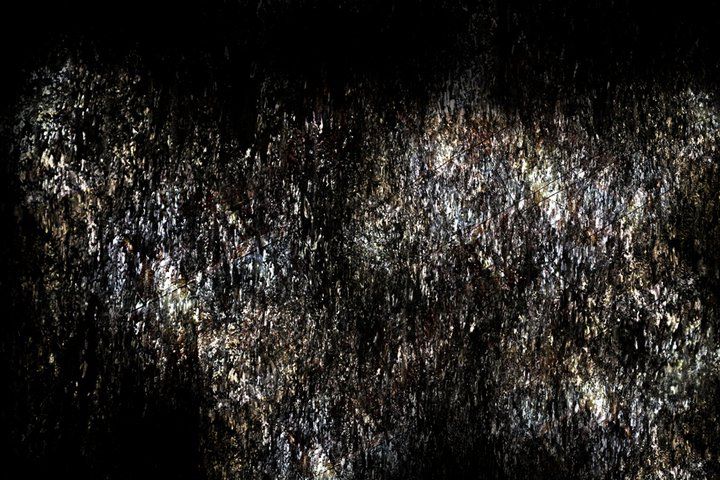 Emergence Of The Form