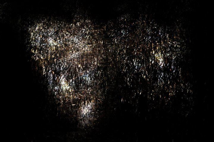 E emergence Of The Face