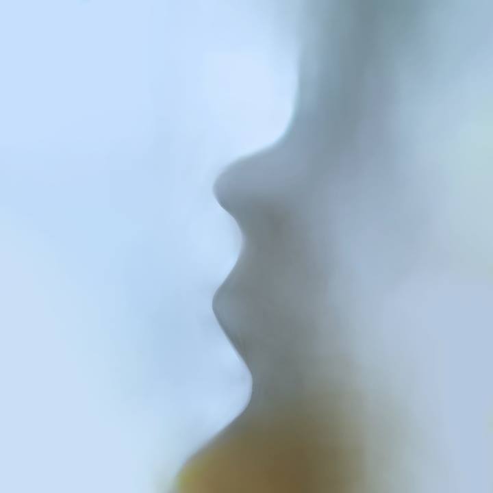 the silent scream