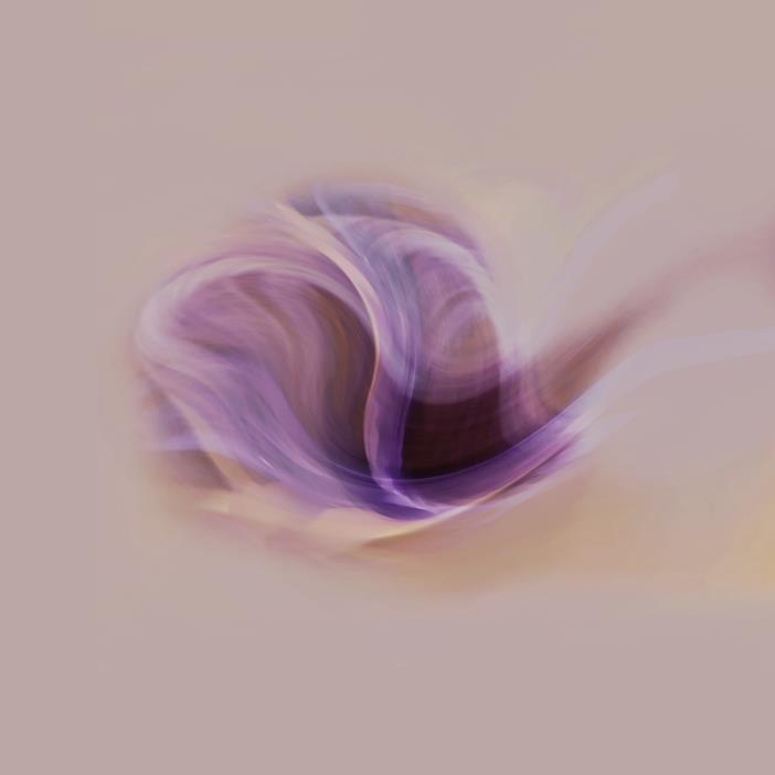 Untitled Flower
