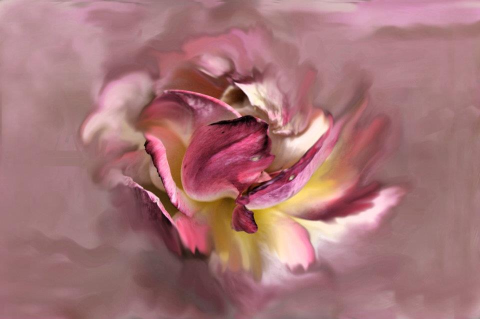Secret Flower