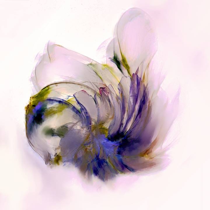 The Flower Of Time