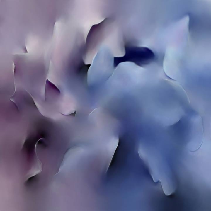 Melting Flower