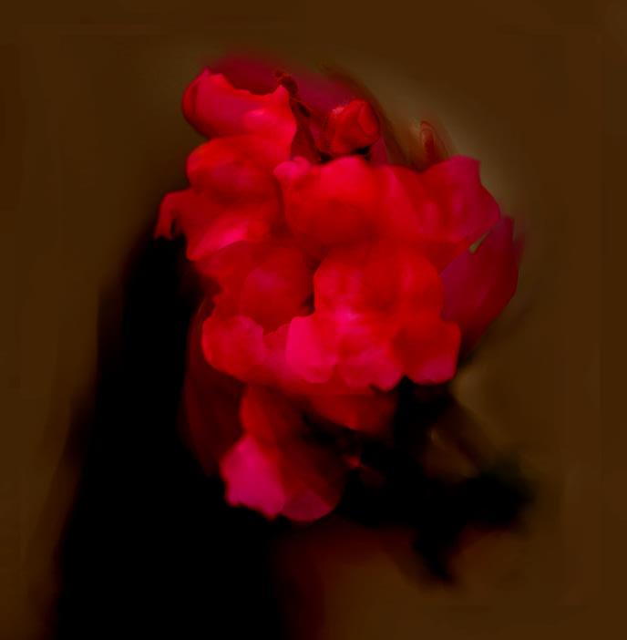 Head Flower