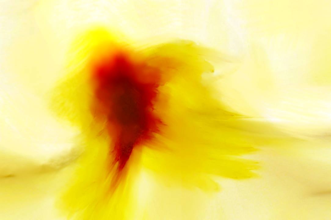 Heat's Flower