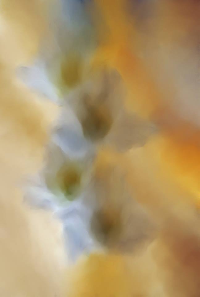 Heaven's Flower