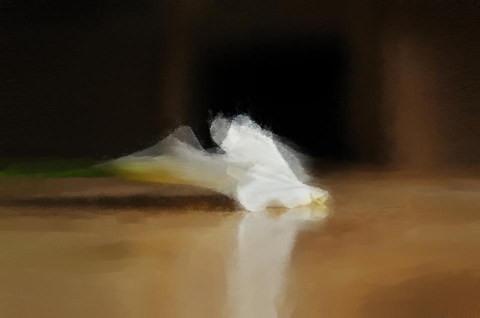 Dream Flower
