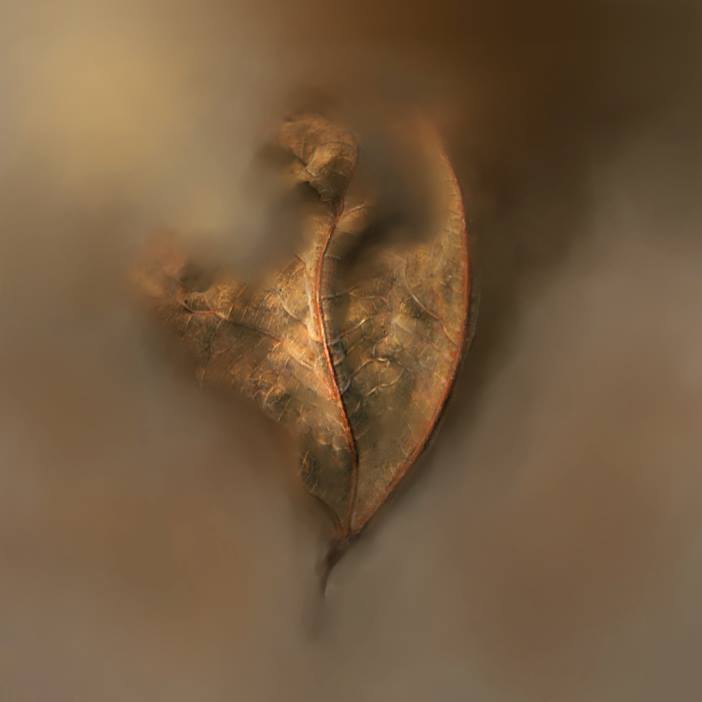 Lets Dance With The Leaf
