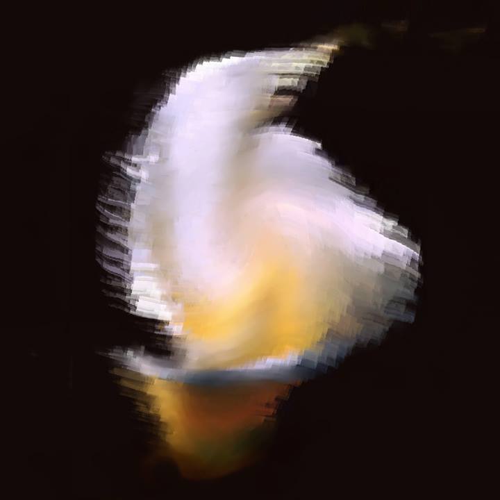 the veil of the hear
