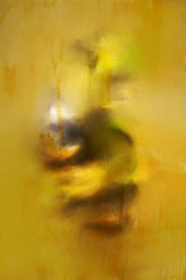 Regard