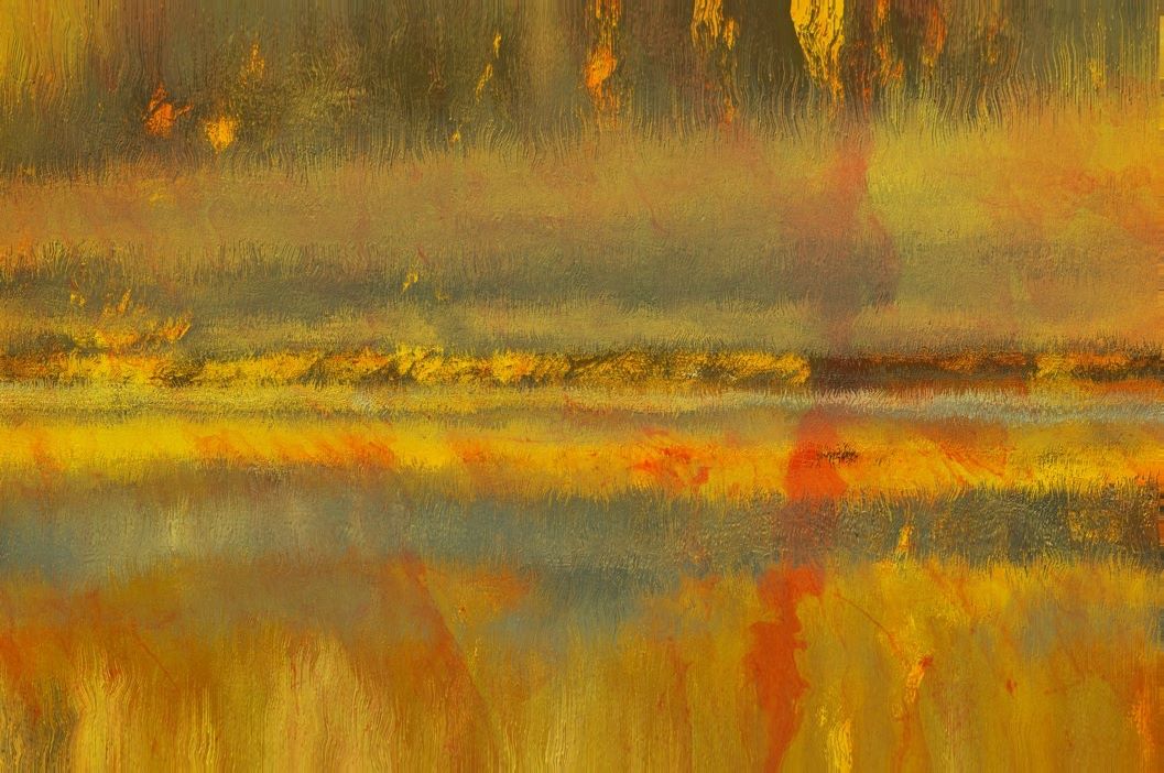 The Field Of My Sun